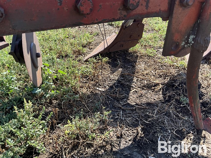 international-550-image-10