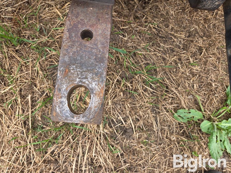 1981-international-5088-image-12