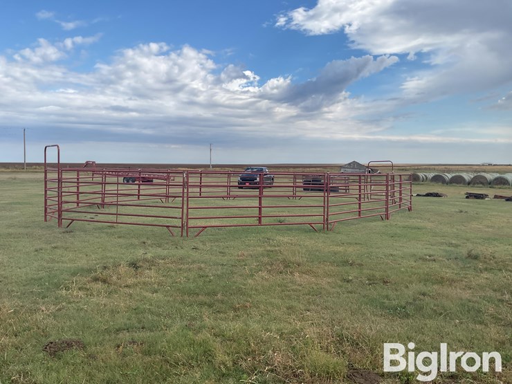 behlen-county/countyline-horse-training-pen-image-5