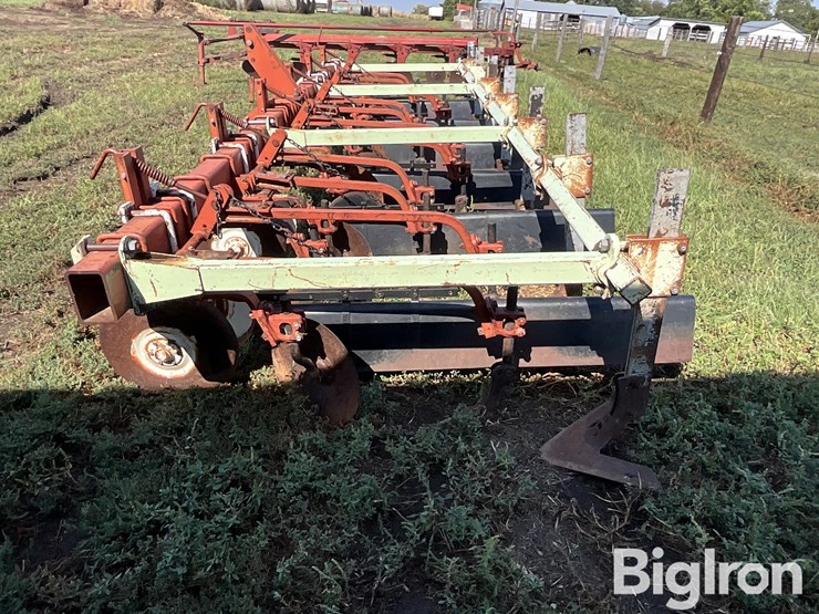 international-170-image-8