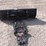 #2036-•-#2036-polaris-atv-front-blade-52-in-image-4