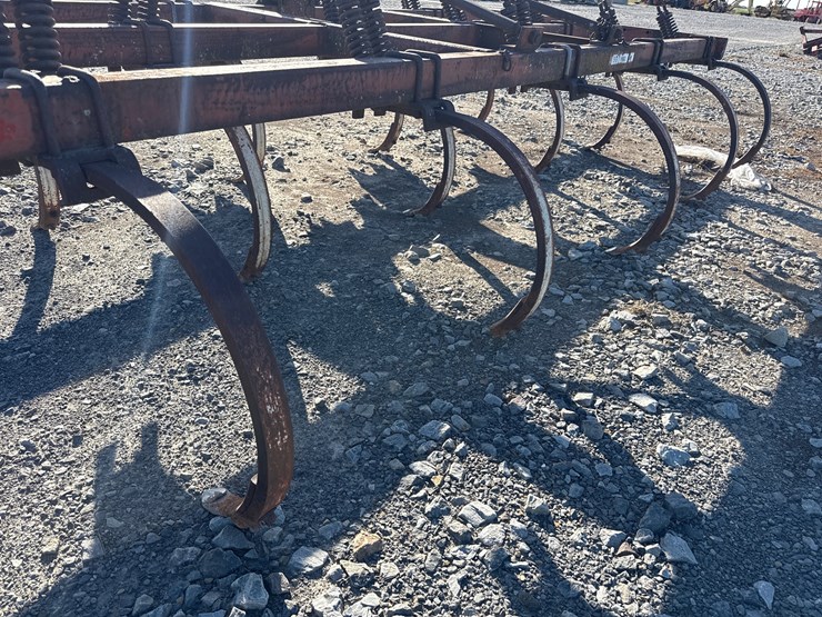 international-55-image-6