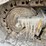 caterpillar-d5n-xl-image-12