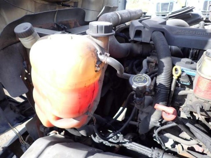 2012-international-terrastar-image-24