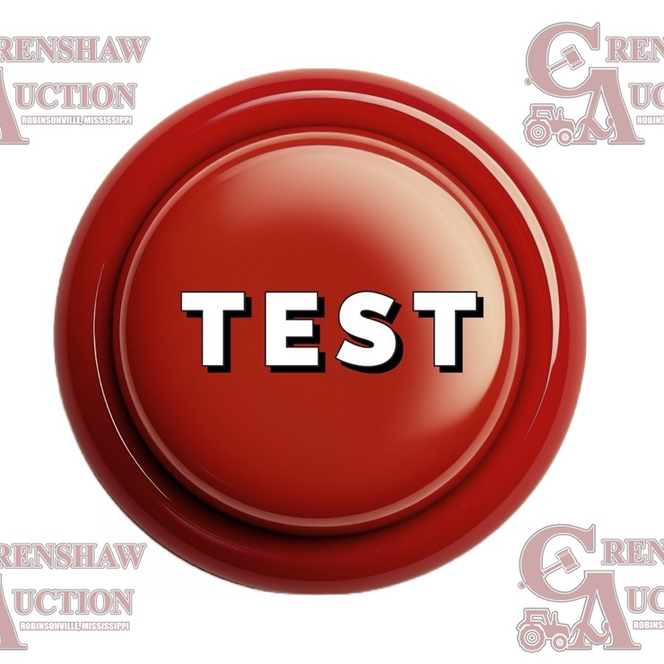 #7 • Bidding Test Button