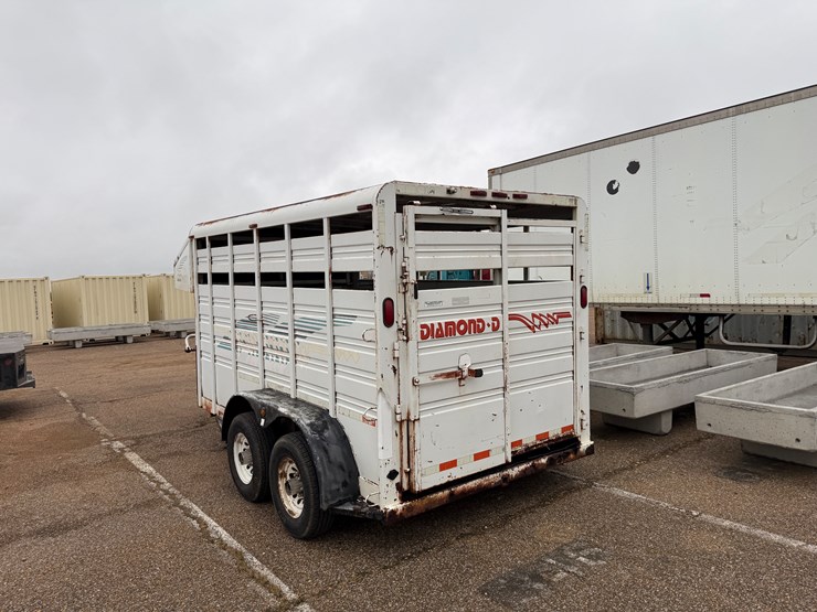 1995-diamond-d-image-7