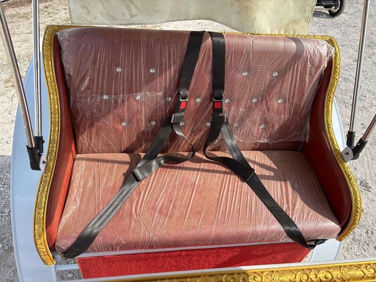 2025-spirit-carriage-cart-image-16