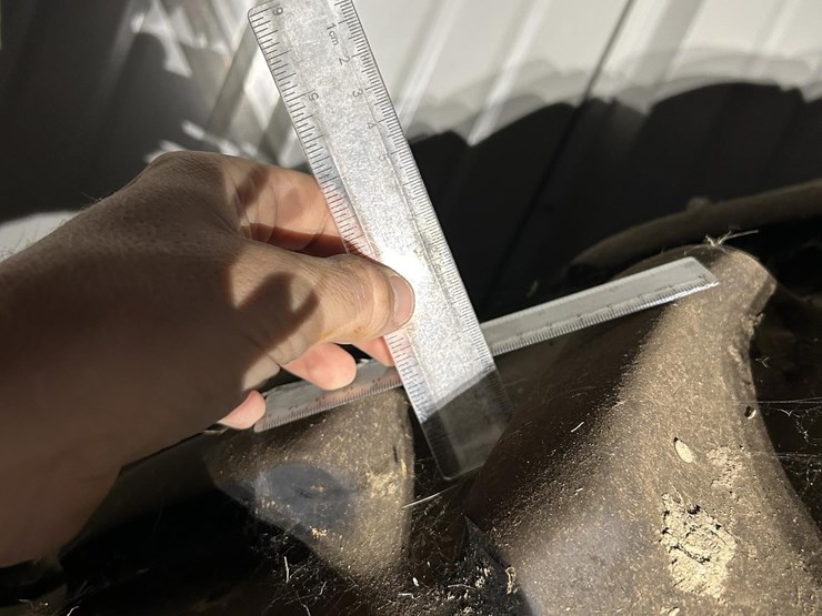 international-1586-image-66