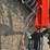 2008-bourgault-5710-59-image-63