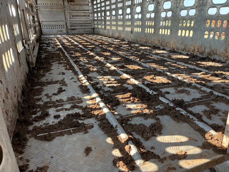 #t8078-•-*description-coming-soon-image-14