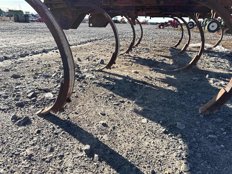 international-55-image-8