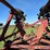 case-ih-496-image-20