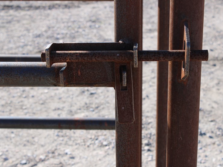 #2087-•-#2087-alley-access-palpation-cage-image-4