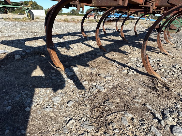 international-55-image-15