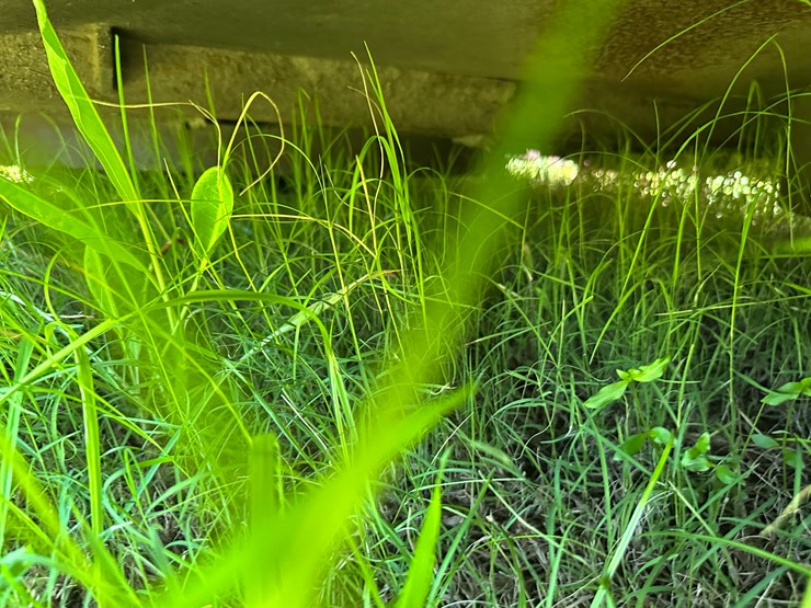 bush-hog-12820-image-40