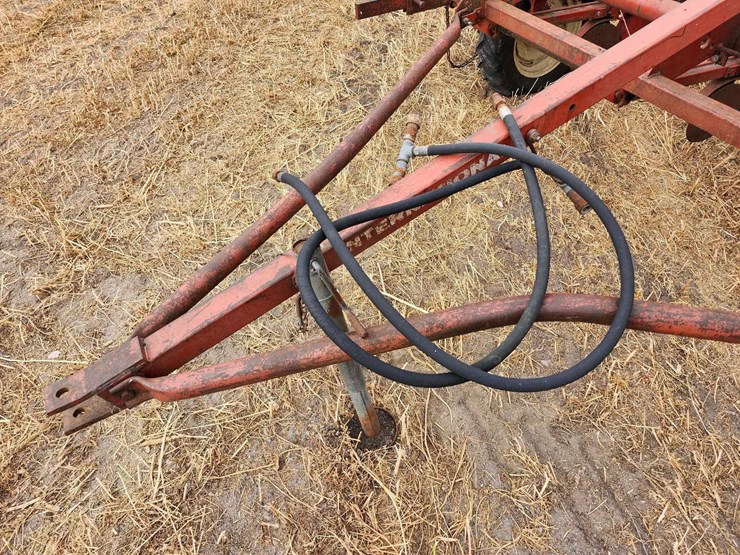 international-56-image-10