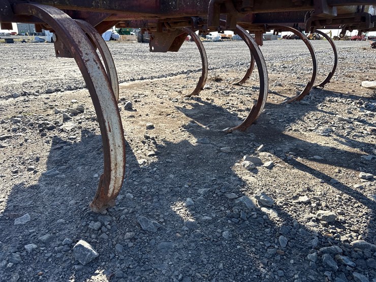 international-55-image-7