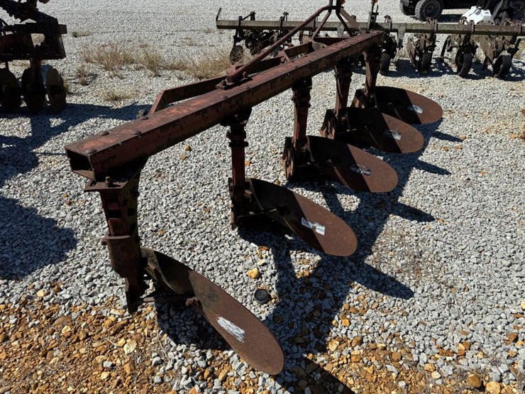 international-5-image-3