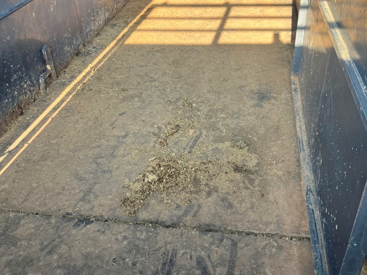 #t6298-•-calico-6x16-trailer-image-5