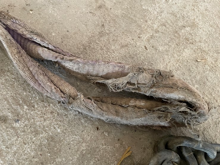 #1080-•-58"-chain-and-lifting-sling-image-8