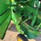 2007-john-deere-568-image-9
