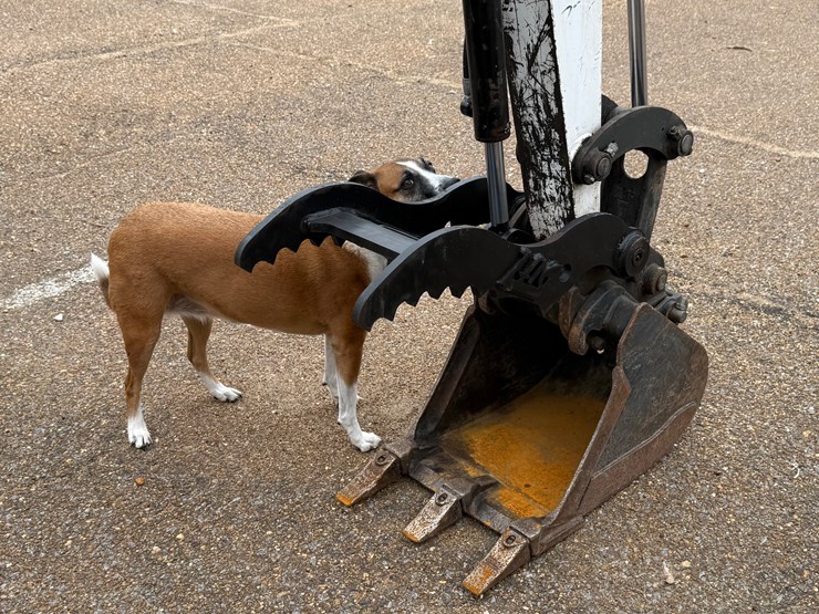 2018-bobcat-e26-image-15