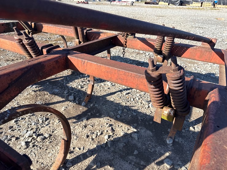 international-55-image-12