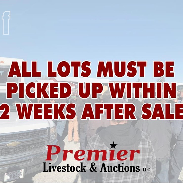ALL LOTS MUST BE PICKED UP WITHIN 2 WEEKS