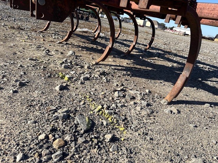 international-55-image-10