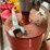 #1075-•-husqvarna-dms240-core-drill-image-5