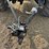 bourgault-5710-54-image-35