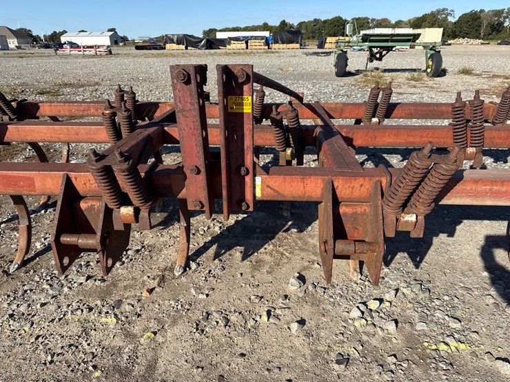 international-55-image-11