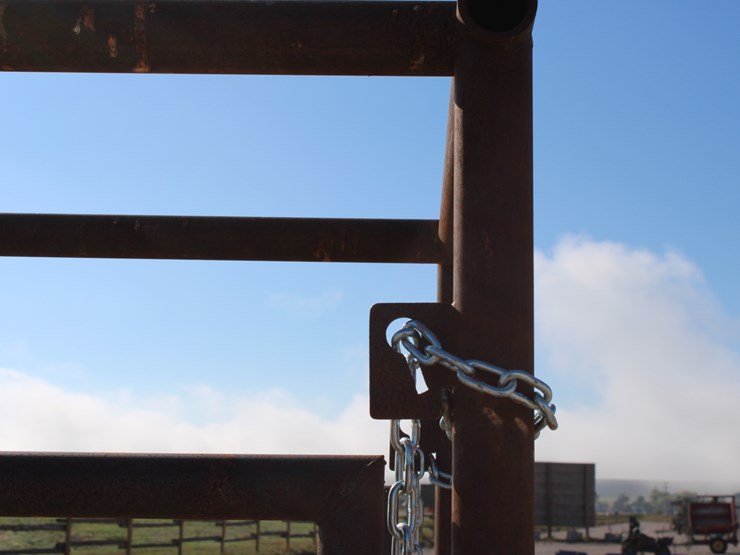 #2087-•-#2087-alley-access-palpation-cage-image-5