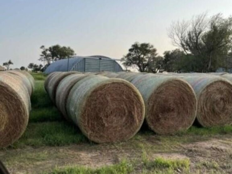 clean-native-grass-hay-image-3