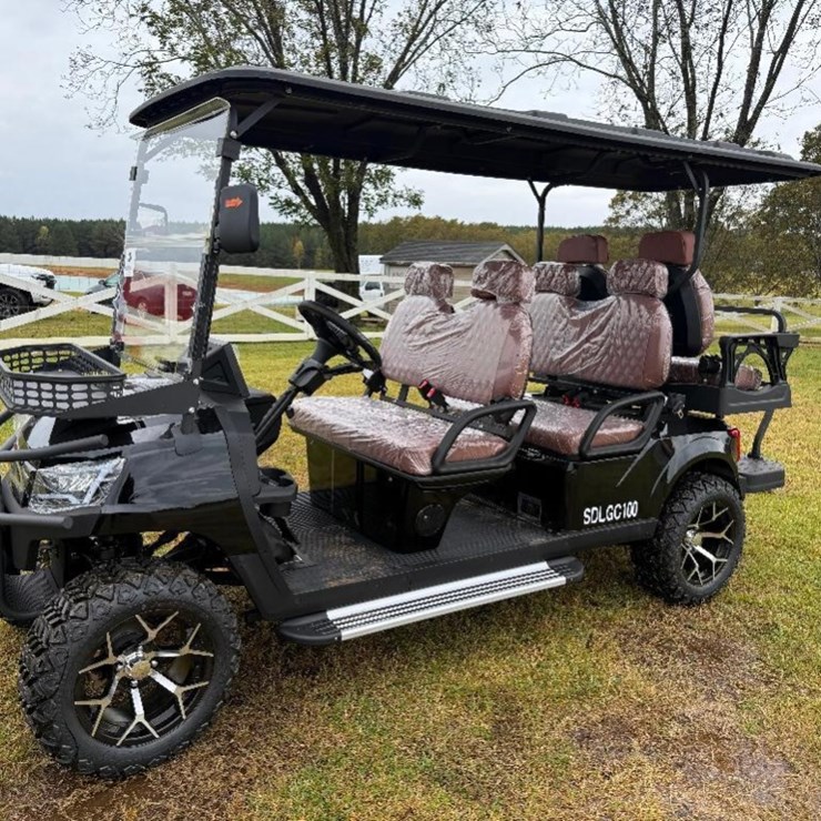 2025 SDLGC100 ELECTRIC GOLF CART