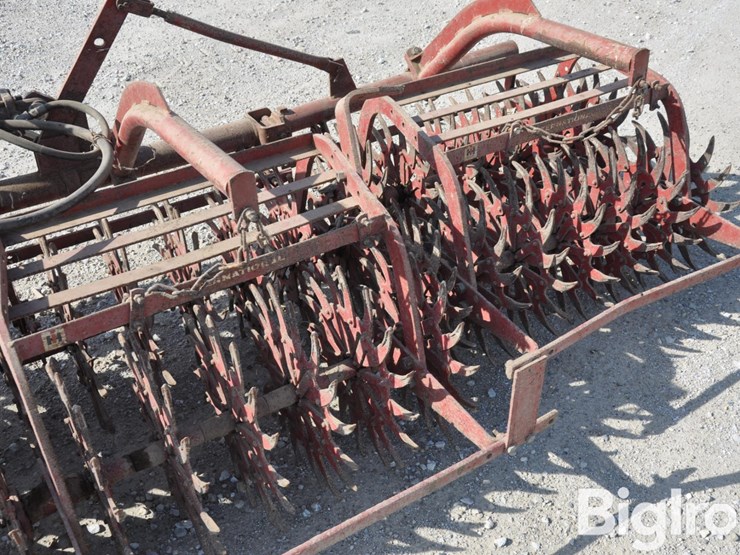 international-3-image-19