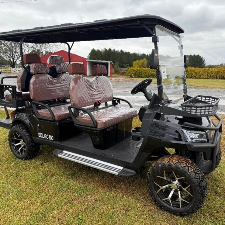2025 SDLGC100 ELECTRIC GOLF CART