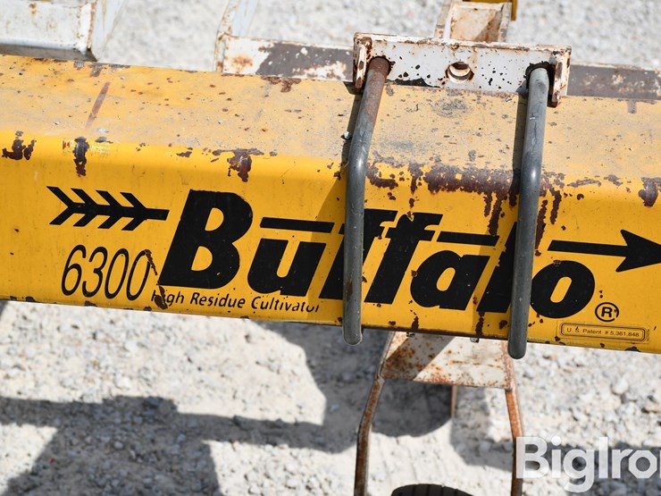 buffalo-6300-image-9