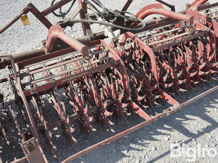 international-3-image-18