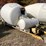 #3374-•-mcneilus-cement-mixer-drum-with-chutes-and-controls-image-2