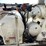 #3375-•-mcneilus-cement-mixer-drum-with-chutes-and-controls-image-24