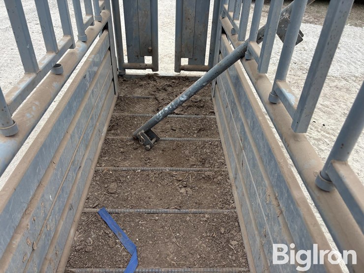 pearson-cattle-squeeze-chute-image-17