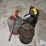 oil-cans-image-2