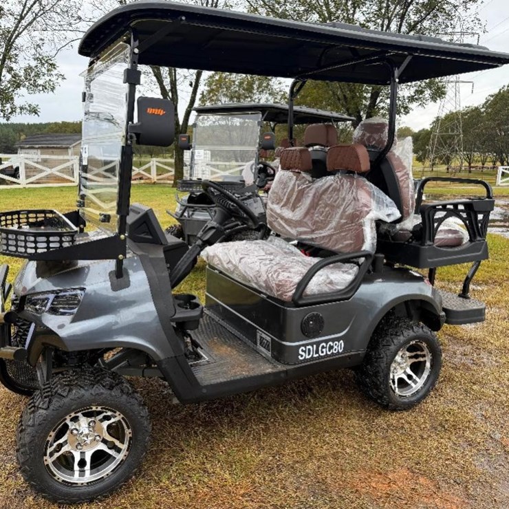 2025 SDLGC80 ELECTRIC GOLF CART