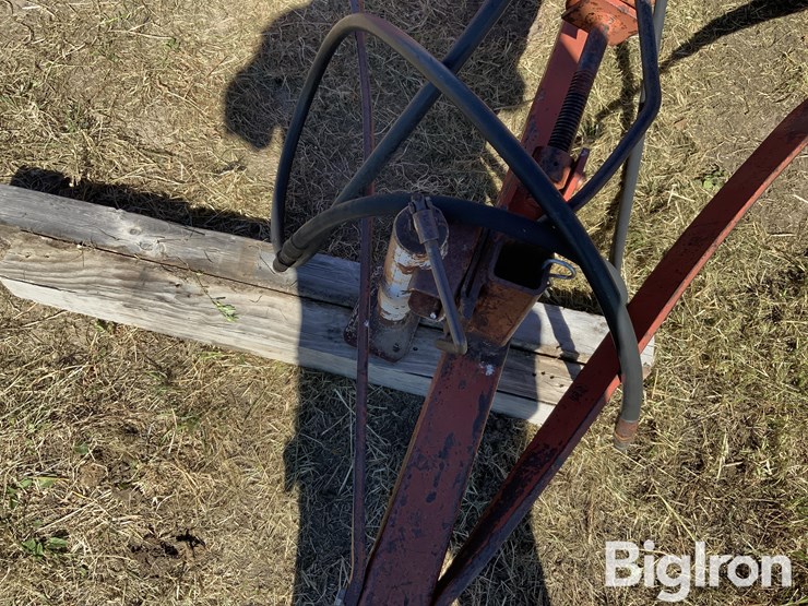 international-315-image-10