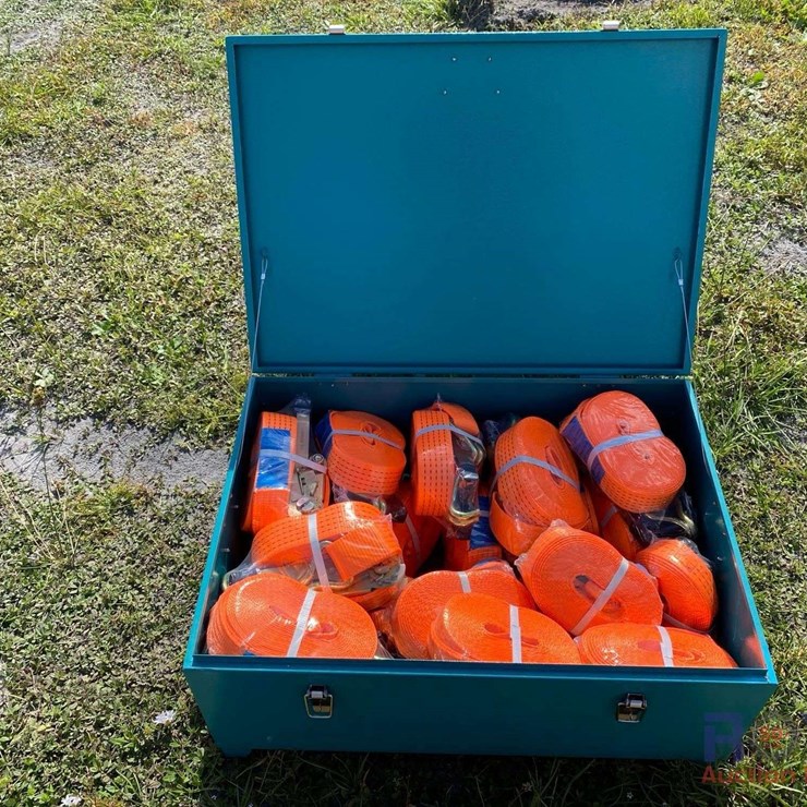 Box of Transport Ratchet Straps