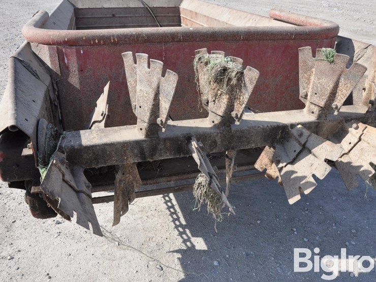 international-550-image-20