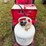 dayton-500-psi-propane-pressure-washer-image-2