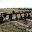 case-6x16-semi-mounted-plow-image-5