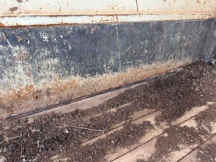 1997-circle-d-image-16